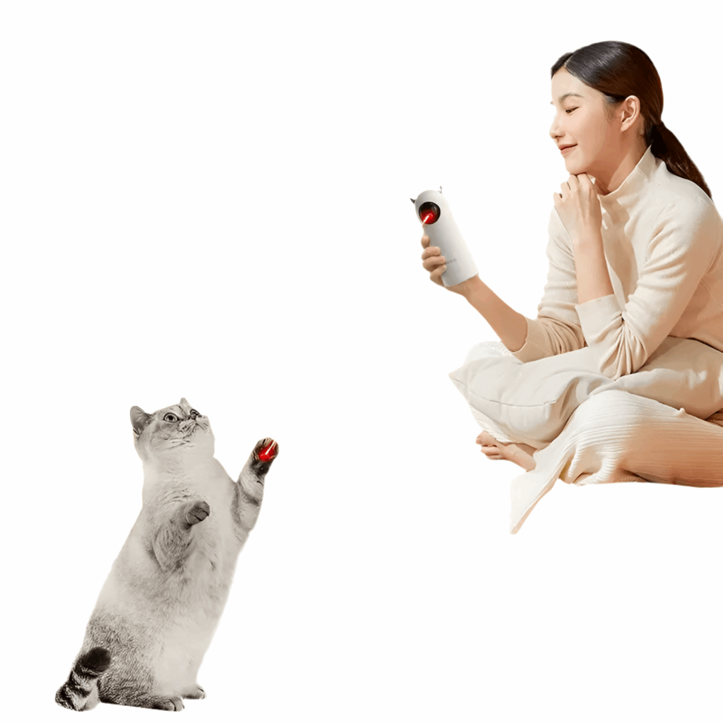 Jouet laser interactif pour chat