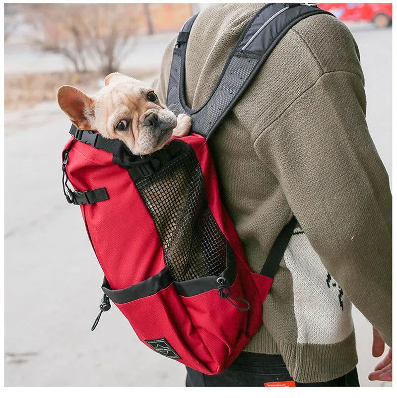 Sac à dos transport chien randonnée, moto