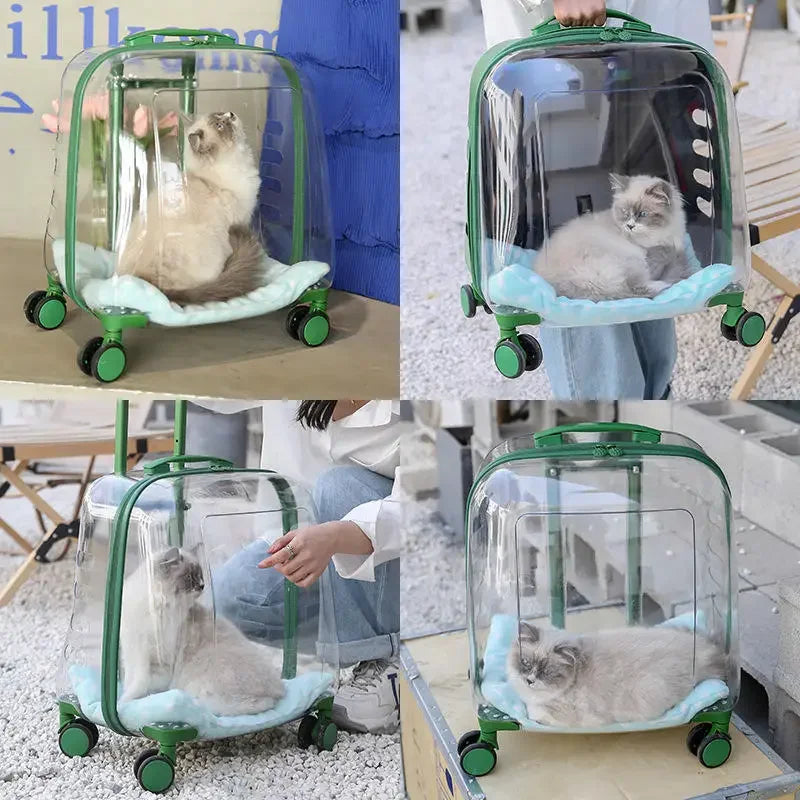 Valise à roulettes déplacement transport chat