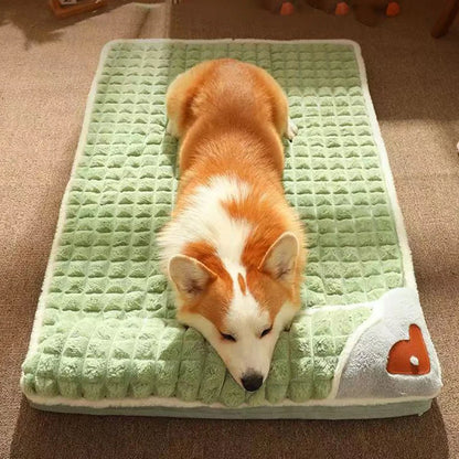 Tapis confortable pour chien