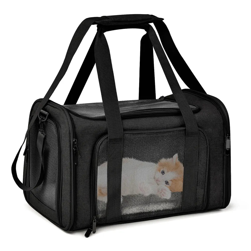 Voyage chat sac transport