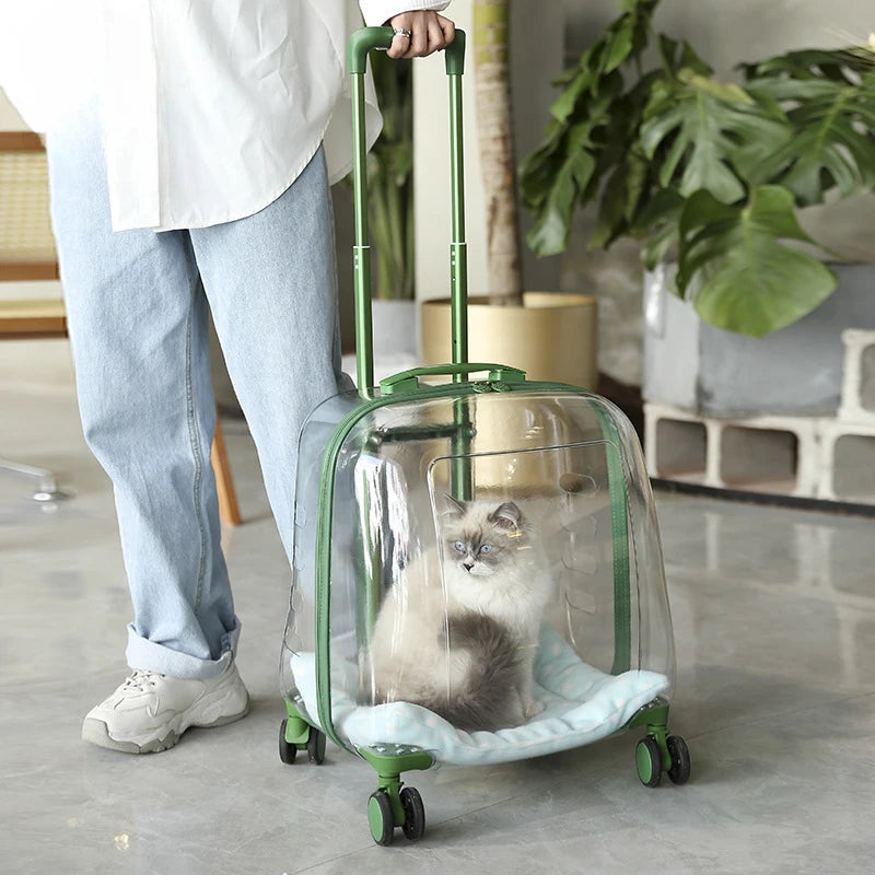 Valise à roulettes déplacement transport chat