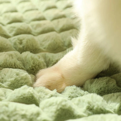 Tapis confortable pour chien