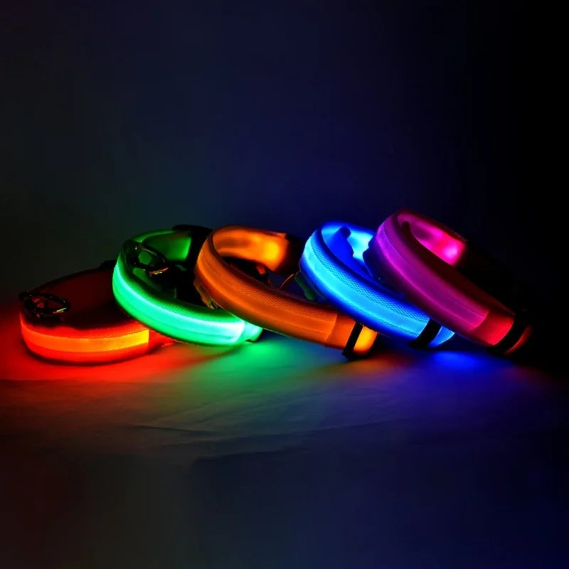 Collier LED pour chien