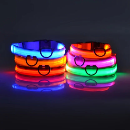 Collier LED pour chien