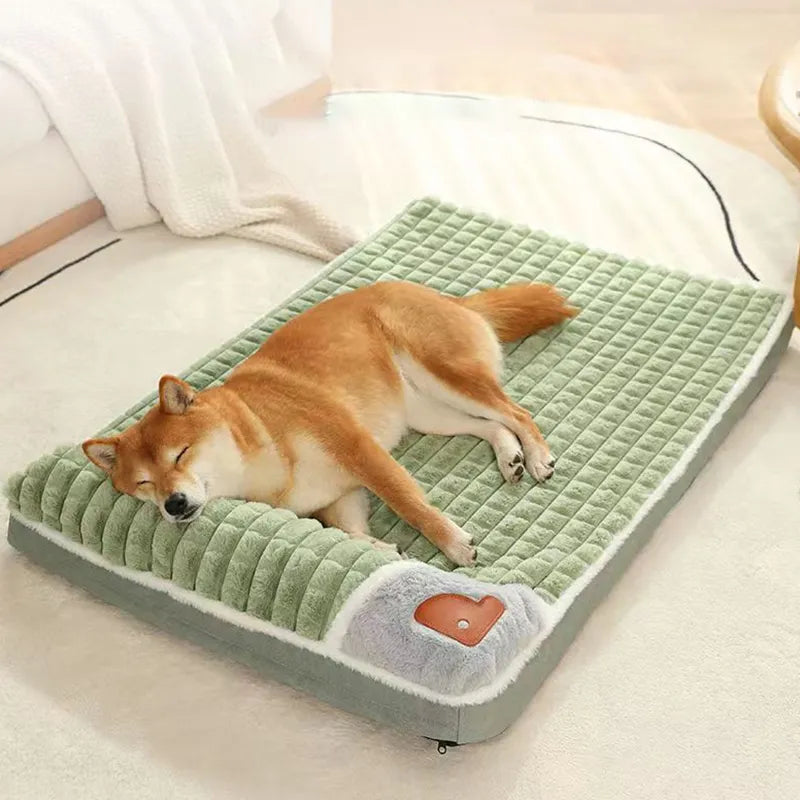 Tapis confortable pour chien