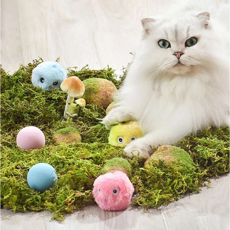 Balle peluche jouet pour chat - DECOCIE BOUTIQUE