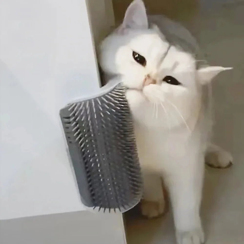 Brosse murale pour chat - DECOCIE BOUTIQUE